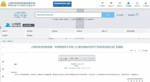 上海市首版次軟件產品專項支持辦法出臺，最高支持200萬元助力軟件及輔助設備發(fā)展