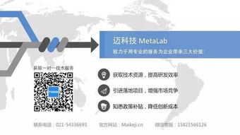 石油化工集團(tuán)新產(chǎn)品開發(fā)中的技術(shù)需求與咨詢策略